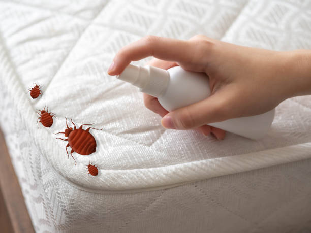 Best Cockroach Control Services  in Poynette, WI